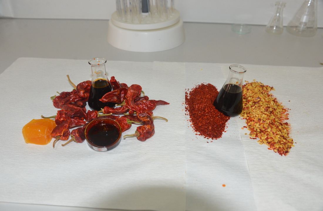 Üniversitemiz Gıda Mühendisliği Öğrencileri Likit Maraş Biberi Üretti