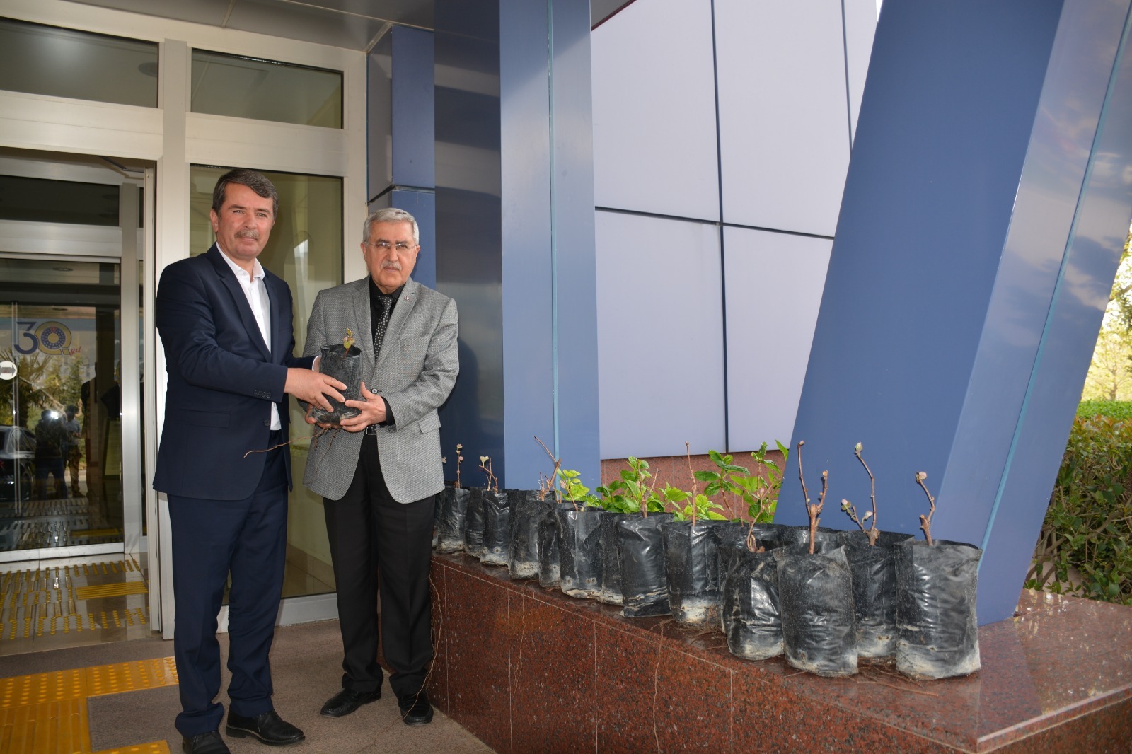 Üniversitemiz ve Türkoğlu Belediyesi İşbirliğiyle Bölge Tarımına Katkı Sağlayacak Labrusca Üzüm Yetiştiriciliği Çalışmalarına Başlandı 