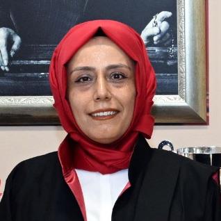 İçerikle ilgili görsel 1